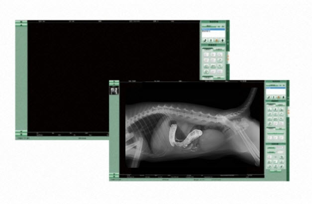 Digitale Flachbilddetektore für Pferdepraxis und Kleintierpraxis DR Detektor Nachrüstung digitales Röntgen reibungsloser Wechsel auf ein digitales Röntgensystem mit Röntgengenerator